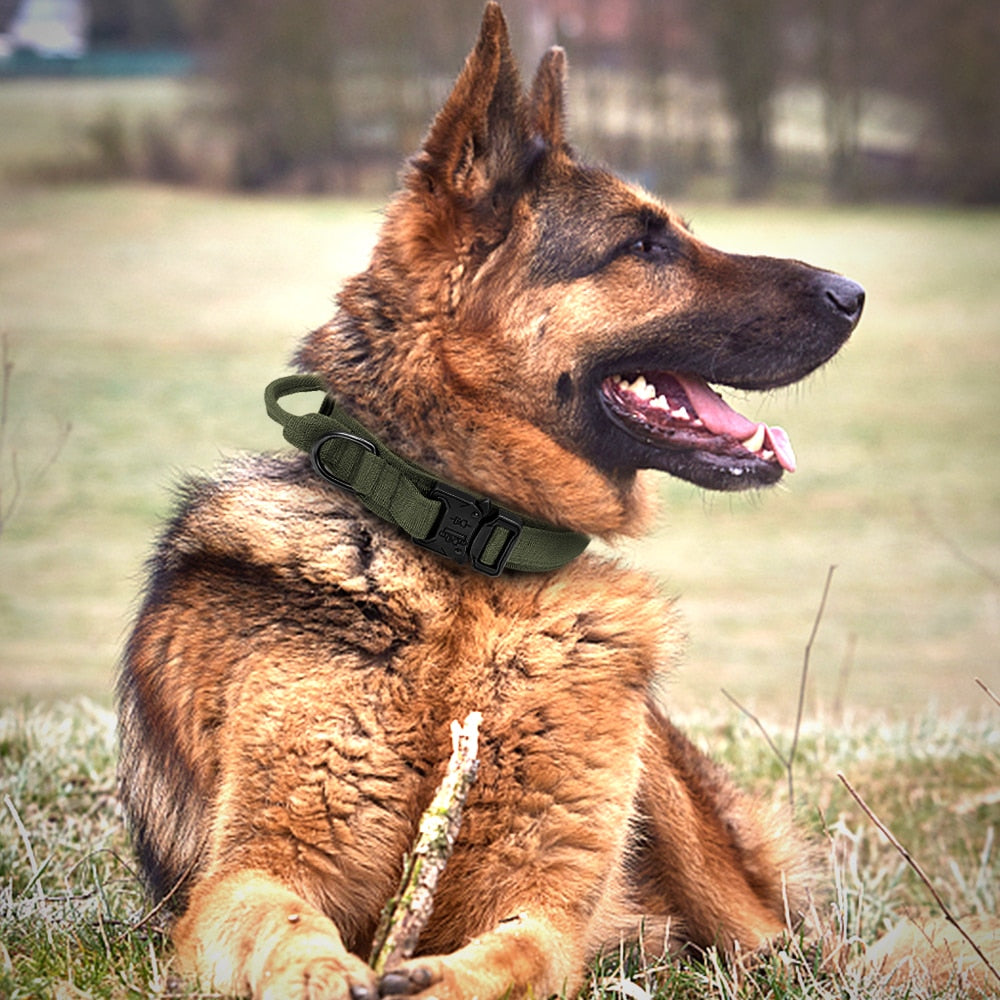 Tactical Dog Collar With Handle Durable Military Nylon Dog Collar Adjustable Training Collar For Large Dogs German Shepherd